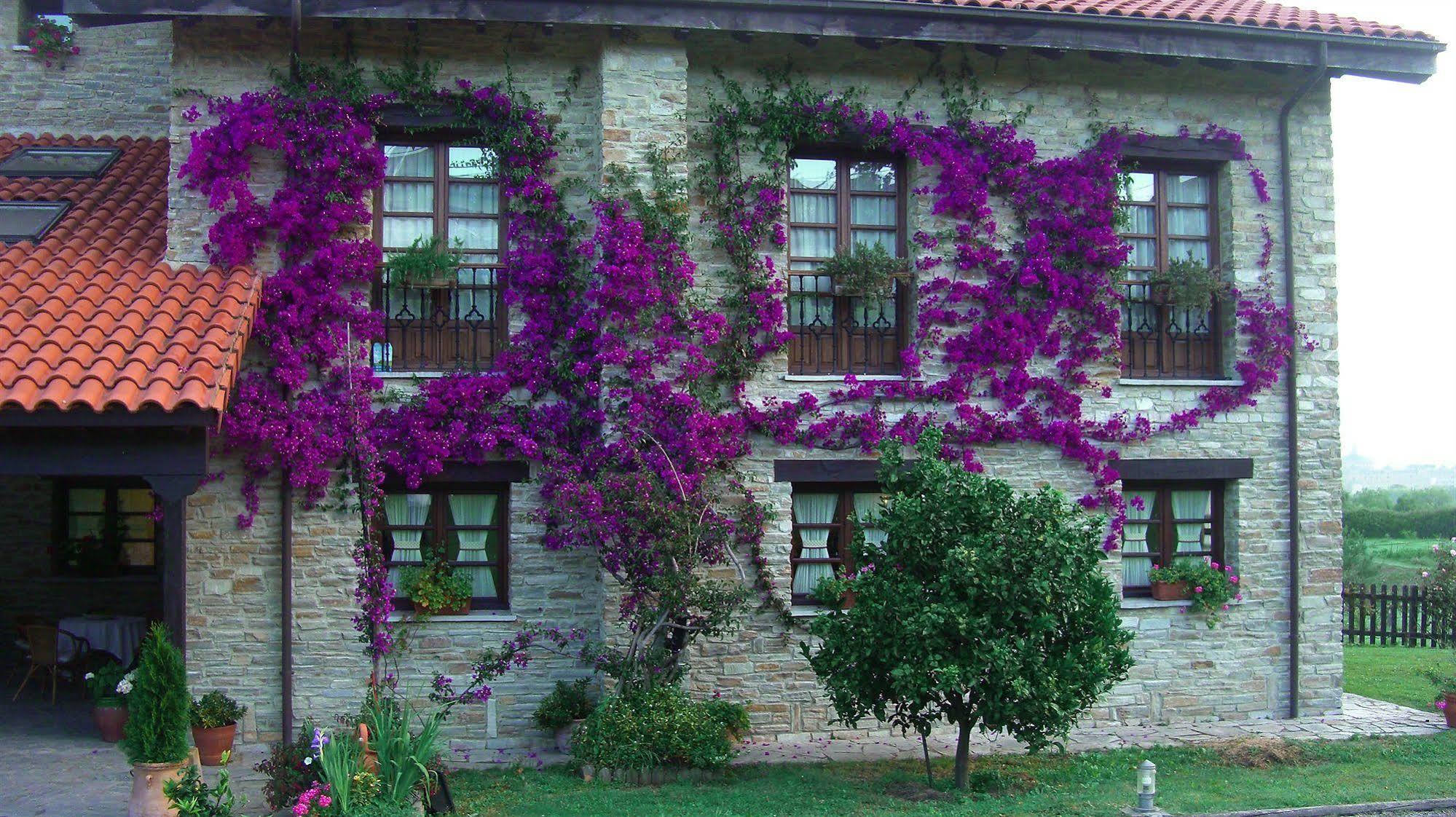 Hotel Rural Casona De Cefontes Eksteriør billede